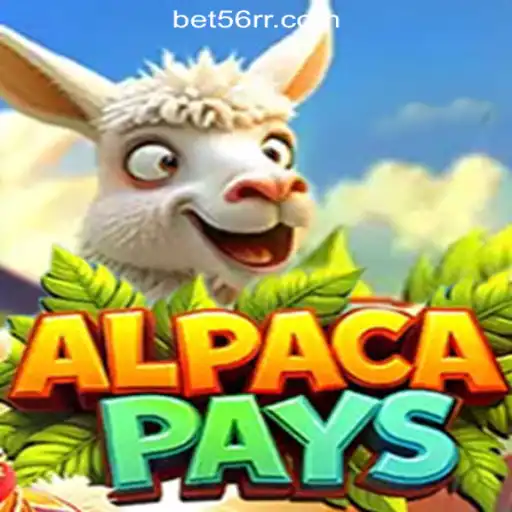 Exploring the Fascinating World of AlpacaPays: An Overview