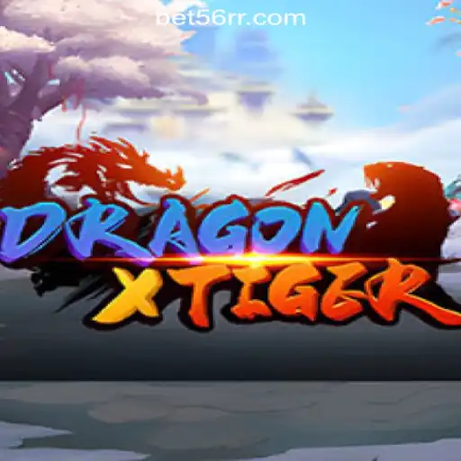 Understanding DragonXTiger: An Overview of the New Sensation