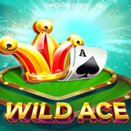 Exploring WildAce: The Top Choice for Slot Enthusiasts in Brazil